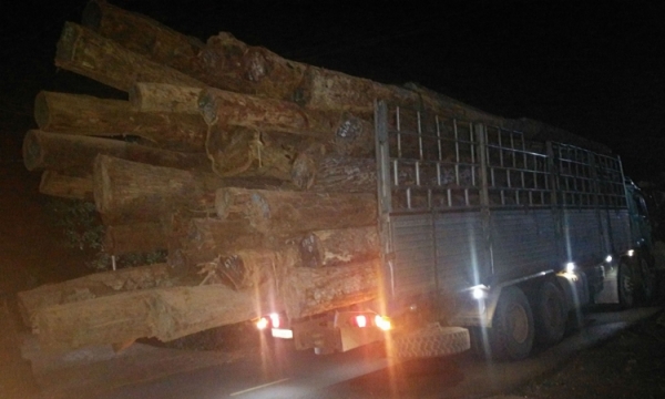 Gia Lai: Quốc lộ oằn mình vì xe chở gỗ quá tải lộng hành